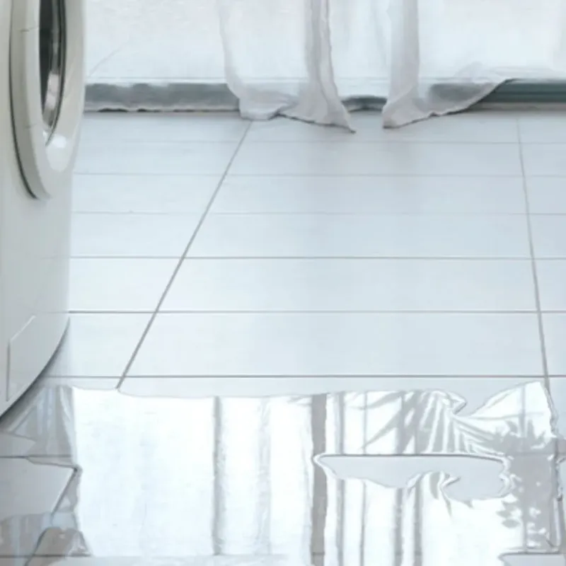 Appliance Leak Cleanup in Clifton, NY