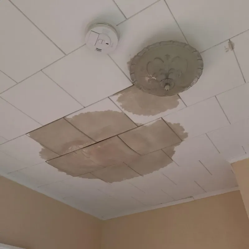 Ceiling Water Damage Repair in Clifton, NY